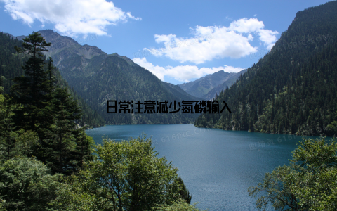 日常注意减少氮磷输入
