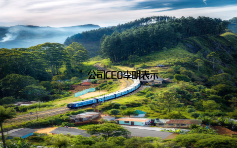 ”公司CEO李明表示