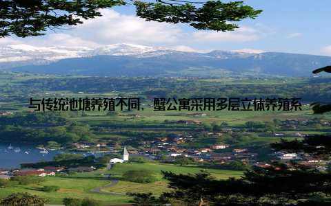 与传统池塘养殖不同, 蟹公寓采用多层立体养殖系统, 将螃蟹分别安置在独立的小格间中, 确保每只蟹都能健康成长