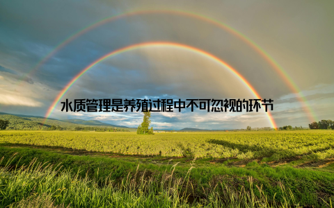 水质管理是养殖过程中不可忽视的环节