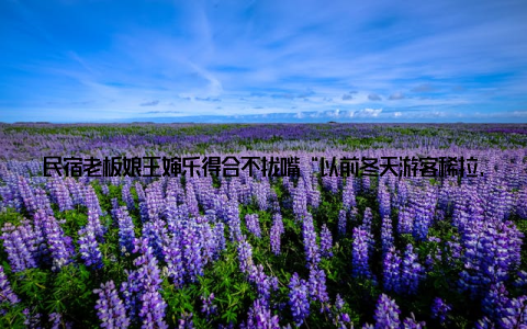 民宿老板娘王婶乐得合不拢嘴“以前冬天游客稀拉, 现在为看冬捕带鱼, 房间订到除夕! ” 三、“家门口就能富”的背后, 是海风吹不散的乡愁 但真正让我破防的, 是上个月发工资的场景