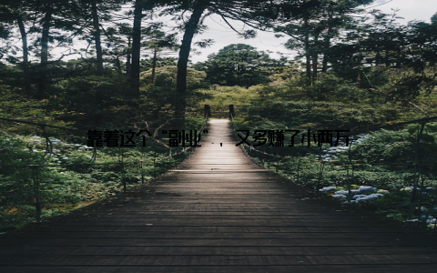 靠着这个“副业”, 又多赚了小两万