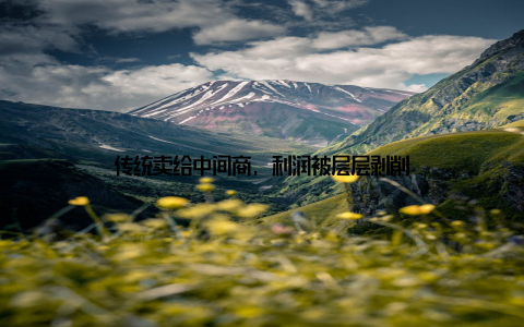 传统卖给中间商, 利润被层层剥削