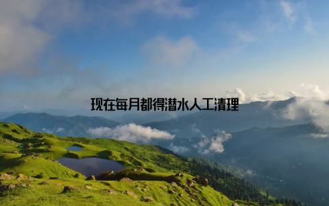 现在每月都得潜水人工清理