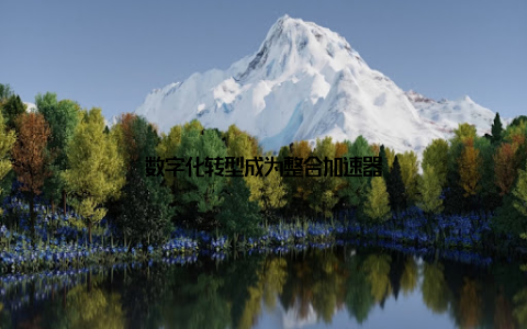 数字化转型成为整合加速器