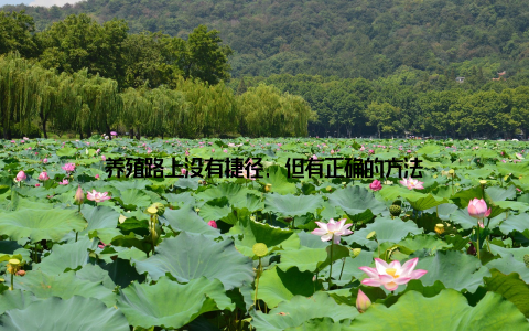 养殖路上没有捷径, 但有正确的方法