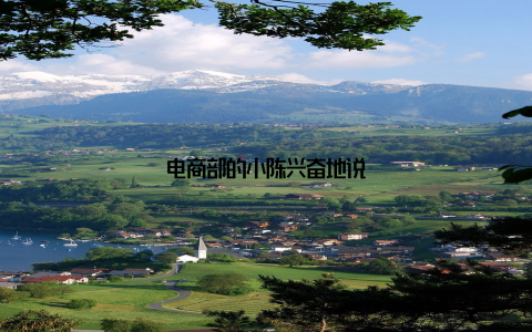 电商部的小陈兴奋地说