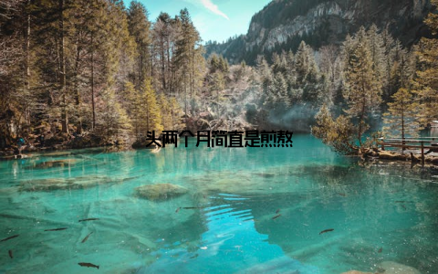 头两个月简直是煎熬