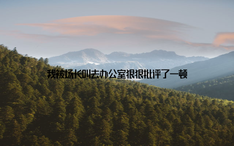 我被场长叫去办公室狠狠批评了一顿