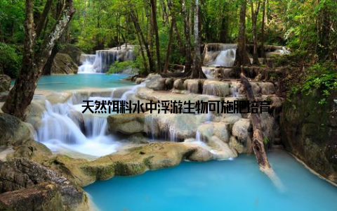 – 天然饵料水中浮游生物可施肥培育