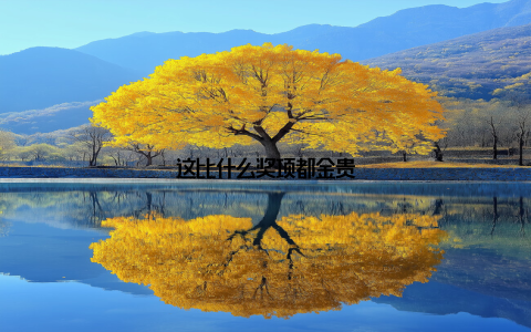 这比什么奖项都金贵