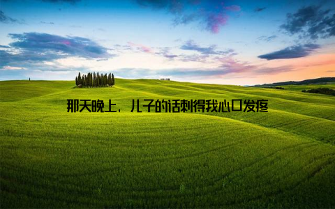 那天晚上, 儿子的话刺得我心口发疼