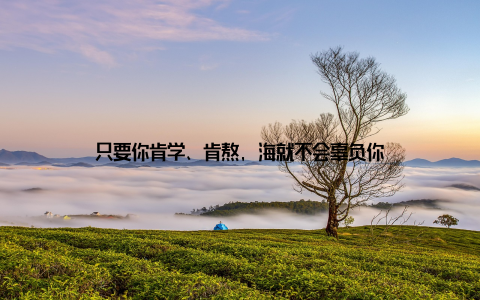 只要你肯学、肯熬, 海就不会辜负你