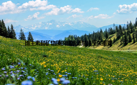 维生素和矿物质的精准添加也至关重要