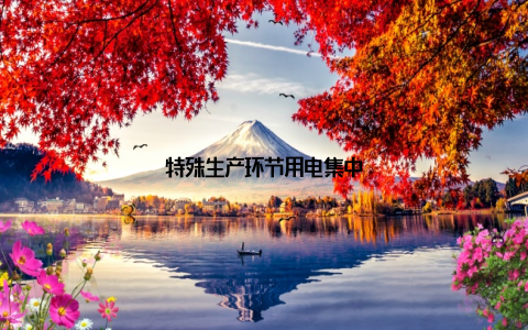 特殊生产环节用电集中