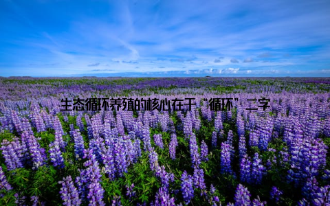 生态循环养殖的核心在于“循环”二字