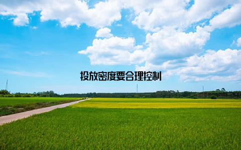 投放密度要合理控制