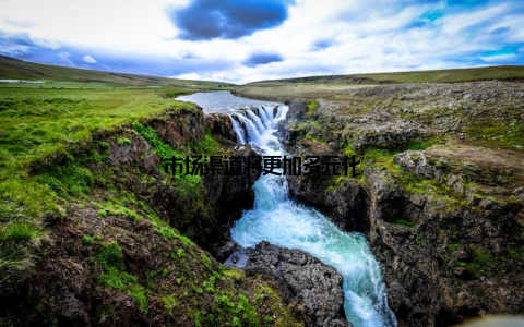 市场渠道将更加多元化