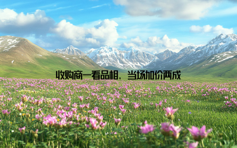 收购商一看品相, 当场加价两成